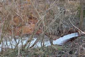 How does water affect soundwaves? Waterfall Sound Sound Clips From Orange Free Sounds