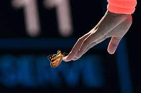 May 31, 2021 · tennis player naomi osaka saves a butterfly that lands on her face in the middle of a match. Butterfly Blesses Naomi Osaka During Australian Open