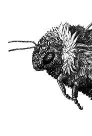 Grey bee in yellow honeycomb mozaic tattoo design. Hummel Bumblebee Zeichnung Illustration Schwarzweiss Black White Hummel Bumblebee Illustration Art Naturelovers Forind Illustration Hummel Zeichnung