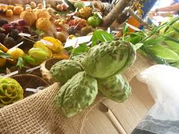 Image result for Cola natalensis