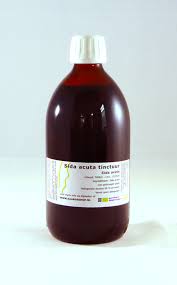 Sida acuta tincture 1:5 (100ml). Buhner Protocol Sida Acuta Tincture Teaselshop
