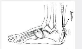 Praxis Leonardo Arzte Fur Orthopadie Und Traumatologie