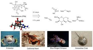 The Total Synthesis of Tetrodotoxin with Dr. David Konrad! : r/chemistry