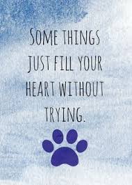 Whoever declared that love, at first sight, doesn't exist has never witnessed the purity of a puppy or looked deep into a puppy's eyes. 900 Dog Quote Inspiration Ideas Dog Quotes Dogs I Love Dogs