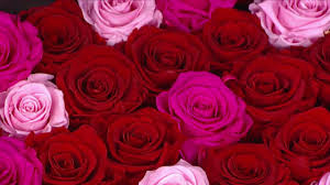 Totally indulgent and luxurious, but without. Dating A Techie Here Are 14 Valentine S Day Gifts