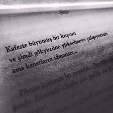 Kafeste Buyumus Bir Kussun Ve Simdi Gokyuzune Yukselmeye Calisiyorsun Ama Kanatlarin Idmansiz Kaynak Instagram Guzel Soz Kitap Alintilari Ozlu Sozler