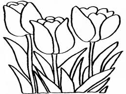 Gambar mewarnai bunga tulip gambar mewarnai bunga tulip rose. Gambar Pola Bunga Tulip Info Lif Co Id