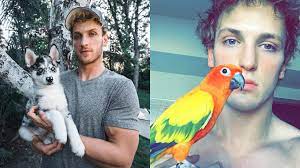 Logan paul kong logan jake paul logan paul merch maverick logan paul famous youtubers king kong american cute animals graphic sweatshirt. Logan Paul S Bird Dog Other Pets Everything To Know About The Youtuber S Animal Kingdom Sporting News