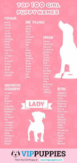 Pin By Mili Olmedo On Nombres De Perros In 2020 Dog Names Puppy Names Girl Dog Names