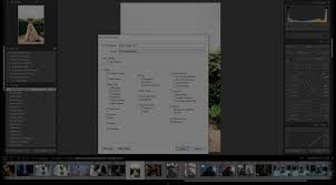 How to reduce lightroom editing time in half. How To Create Presets To Quickly Edit Your Photos In Lightroom