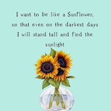 Ost doraemon stand by me bahasa jepang lirik bahasa indonesia, janji bunga matahari. 12 Ide Sunflower Quotes Bunga Matahari Inspirasional Kata Kata