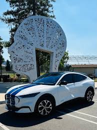 Image result for Star White 2024 Lightning