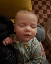 Hillary Meadows (@hillarymeadows) • Instagram photos and videos