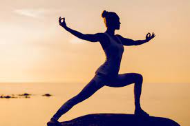 Mind-Body Medicine and the Treatment of Chronic Illnesses – SEMS-journal