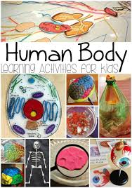 Human Body Learning Activities For Kids A Spectacled Owl Kids Learning Activities Human Body Activities Preschool Science
