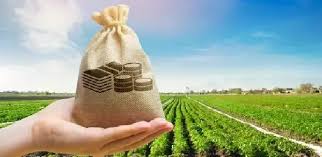 About Us | Mankind Agritech