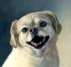 Pet portrait paintings dog & cat art | melissa smith art. Pet Portraits Rebecca Luncan