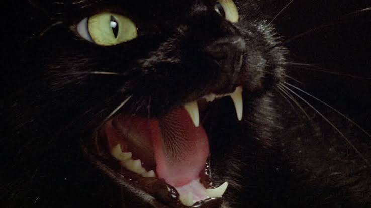 TWO EVIL EYES (1990) • Frame Rated