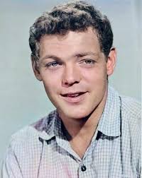 Book em, Danno!!! 💙 James MacArthur was born