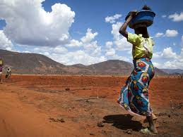 Un ambicioso plan de la FAO contra la crisis ambiental