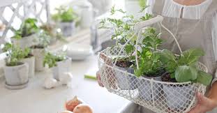 Container gardening is also useful when you have to move from your home; Diy Container Vegetable Gardening At Home Blog Life Unboxed