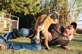 I had never been on a bicycle in my life nor even very close to one, but in a couple of hours i had learnt to ride a bicycle myself and was teaching other people. Tiger King Joe Exotic And His American Animals