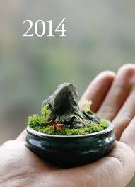 Moss Bonsai Horse Mini Zen Garden Miniature Zen Garden Micro Garden