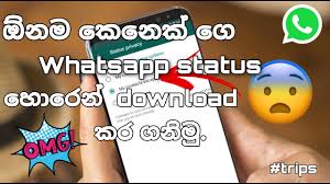 This method does not require any application but you will need to access the file manager on your now below the status, tap on the down arrow button which will download the status or story to your phone gallery. How To Download Whatsapp Status Sinhala Youtube