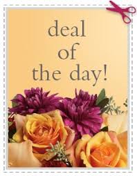 Maybe you would like to learn more about one of these? Anchorage Florist Flower Delivery By Evalyn S Floral