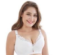 Sexy Lace Bras for Women Push Up Underwire Top Underwear ...