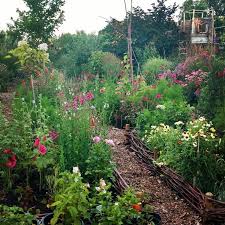 Our Garden In July Last Year I Can T Wait To Start Planting Up Our Borders For This Year I Will Start Planting O Garten Bauerngarten Und Bienenfreundlicher Garten