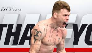 Ufc fight night almeida vs. Bldc8ci64lbxkm