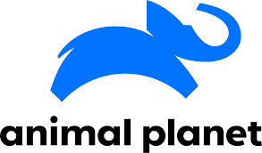 Check spelling or type a new query. Animal Planet Australia And New Zealand Wikipedia