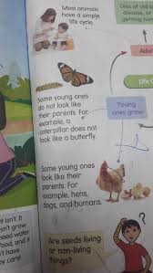 What Animals Do Not Look Like Their Mother? - Quora