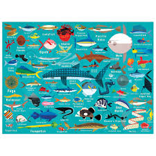 Ocean Life 1000 Piece Family Puzzle In 2021 Ocean Life Family Puzzles Animal Canvas