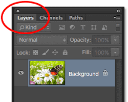 صورة Photoshop layers panel