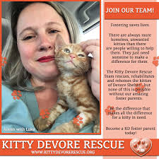 Become a Kitty Devore Rescue Foster Parent!