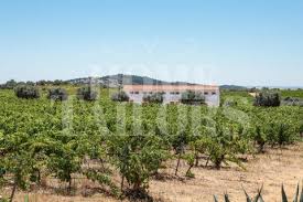 Vidigueira from mapcarta, the open map. Immobilien Zum Kaufen In Vidigueira 80 Objekte Bei Kyero