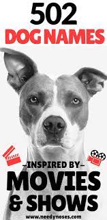 If your pup is light brown or cream, you could name her after a particular spice resembling that color, like ginger or nutmeg. 502 Unique Dog Names Inspired By Movies Tv Shows Needy Noses Dog Names Dog Names Unique Best Dog Names
