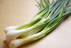 Tanaman sayuran kale merupakan jenis sayuran yang jarang ada diindonesia, namun sayuran ini sudah mulai banyak dibudidayakan karena banyak mengandung gizi dan vitamin. Ketahui Sayuran Termahal Di Dunia No 1 Mengejutkan