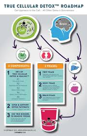 We did not find results for: True Cellular Detox Core Therapies