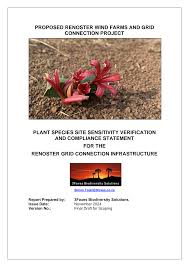 Image result for Tristachya rehmannii