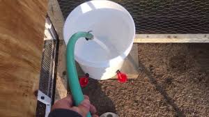 Here are 10 diy chicken feeders and waterers for your flock! How To Make A Chicken Waterer Using 5 Gallon Bucket Easy Diy Youtube