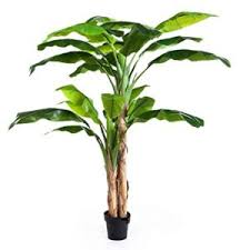 We did not find results for: Fake Banana Trees Artificial Banana Leaf Tree Price Uk