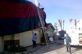 About 59% of these are pest control, 0% are sprayers. Bell Termite Control Free Termite Inspection And Pest Control In Los Angeles Orange County San Bernardino Ventura And Riverside County