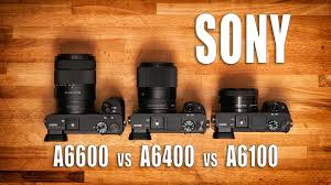 Just reading the spec sheet makes it clear that if you're after a compact, premium camera with all the bells and whistles, you should definitely consider the a6600 on. Sony A6600 Vs Sony A6400 Vs Sony A6100 Which Camera Is For You Sonyalphalab