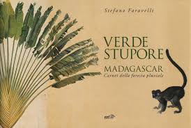 Si ya te matriculaste, ¡empieza tu capacitación aquí! Verde Stupore Madagascar Carnet Della Foresta Pluviale Amazon De Faravelli Stefano Fremdsprachige Bucher