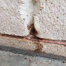 We've got the best service and solutions for all your pest and termite issues. 5 Star Pest Solutions Home Facebook