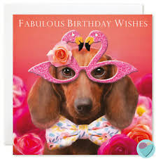 I have also shared some images of cats so that you may also check these images that you will see here in this post. Sausage Dog Birthday Card For Girls Flamingo To From The Dachshund Dog Lover Ebay