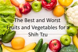 Check spelling or type a new query. The Best And Worst Fruits And Vegetables For A Shih Tzu